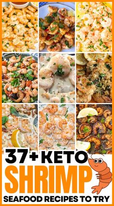 shrimp recipe collage with the words 37 + keto shrimp seafood recipes to try