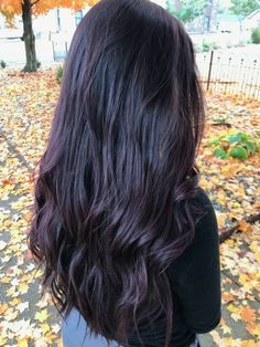 Burgundy Fall Hair, Plum Black Hair, Violet Black Hair, Dark Violet Hair, Blackberry Hair Colour, Deep Burgundy Hair, Deep Purple Hair, Purple Black Hair, Purple Brown Hair