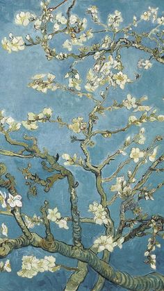 the branches of an almond tree with white flowers against a blue background, painted in oil on canvas