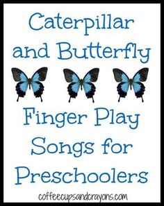 three blue butterflies with the words caterpillar and butterfly finger play songs for preschoolers