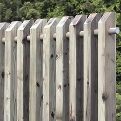 a cat sitting on top of a wooden fence