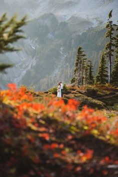 a bride and groom standing on top of a mountain