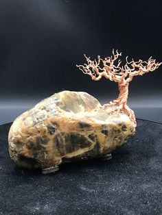 a rock with a tree on it sitting on a black countertop in front of a dark background