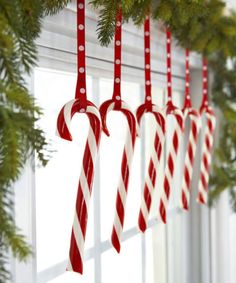 red and white candy canes are hanging from a christmas tree in front of a window