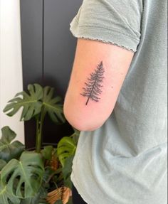 a small pine tree tattoo on the arm