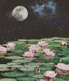 some water lilies are floating in the water and there is a full moon above them