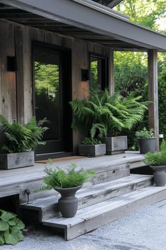 some plants are growing in pots on the porch