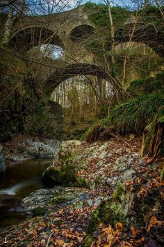 an old stone bridge over a small stream in the woods with fallen leaves on the ground