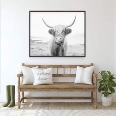 a black and white photo of a cow with horns on it's head is hanging above a wooden bench