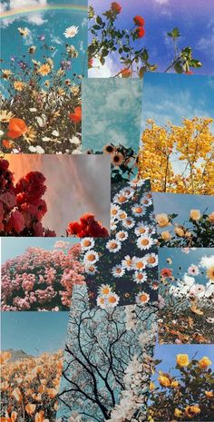 multiple images of flowers and trees in the sky