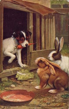 two rabbits and a dog eating carrots in a barn