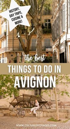 the best things to do in avignon