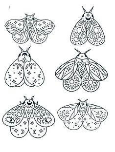 four different kinds of moths in black and white