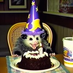 a rat sitting at a table with a birthday cake in front of it, wearing a party hat