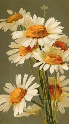 an old postcard with daisies in a vase