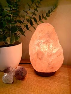 a rock lamp next to a potted plant on a wooden table with two rocks