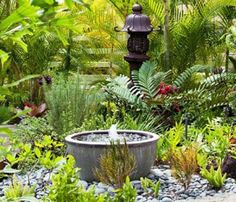 a garden filled with lots of plants and rocks