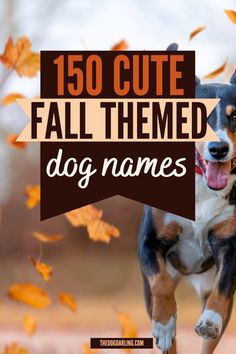 a dog jumping up into the air with fall leaves in the background and text overlay that reads, 150 cute fall themed dog names