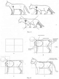 some diagrams showing how to draw a cat with different angles and body parts, including the tail