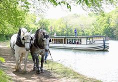 two horses standing next to each other in front of a body of water with a boat behind them