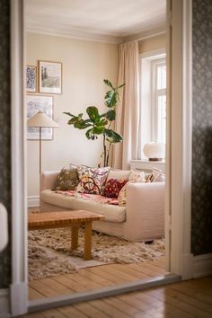 a living room filled with furniture and a potted plant