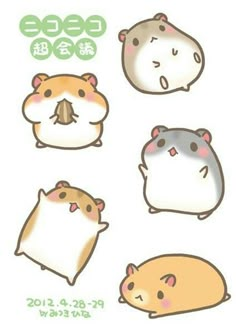 four cartoon hamsters with different expressions on them