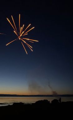 fireworks are lit up in the night sky over water and rocks on the beach with people watching