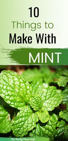 green leaves with the words 10 things to make with mint