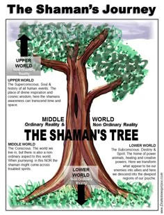 the shanman's journey tree is shown in this poster, with information about its roots