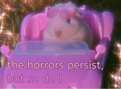 a hamster in a pink toy car with the words, the horrors perist, but so do i