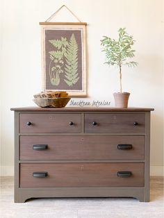 a dresser with two drawers and a potted plant on top, in front of a framed fern print