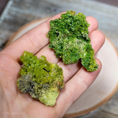 Beautiful Green Pyromorphite from Guilin, China 🇨🇳 This stone is named after the Greek words meaning “fire” and “form” 🔥 Pyromorphite is a stone that activates and links one’s solar plexus and heart chakra together. These rare raw specimens are available on our shop! Words Meaning, Crystal Products, Guilin China, Guilin, Word Meaning, Greek Words, Solar Plexus, Heart Chakra, Plexus Products