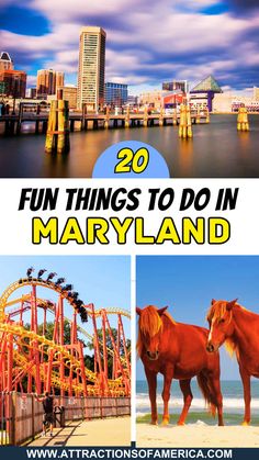 Image of Baltimore Inner Harbor, Six Flags America and Assateague State Park with text overlay reading 20 fun things to do in Maryland. Six Flags America, Visit Maryland, Ocean City Boardwalk, Baltimore Inner Harbor, Washing Dc, Vacation Wishes, Deep Creek Lake