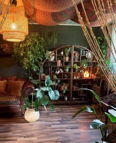 a living room filled with lots of plants