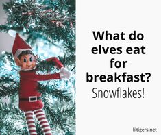 an elf is hanging from a christmas tree with the words, what do elves eat for breakfast? snowflakes