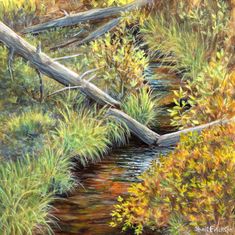 an oil painting of a creek in the woods with fallen trees and grass on either side