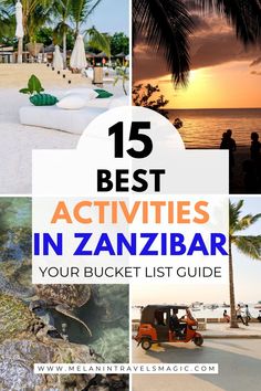 the best activities in zanizbar for your bucket list, including an island and palm trees