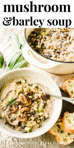 mushroom and barley soup in a white bowl with bread on the side, next to it