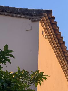 a bird is sitting on the roof of a building with a tree in front of it