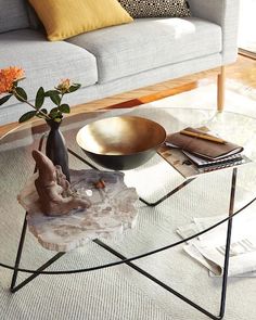 a living room with a couch, coffee table and decorative items on the glass top