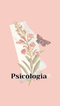 a pink background with an image of flowers and butterflies