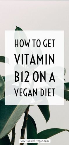 Vitamin B12 Foods Vegetarian, B12 Foods Vegan, Vitamin B Foods, Vegan B12, Brain Foods