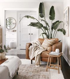 a living room with a couch, chair and plant