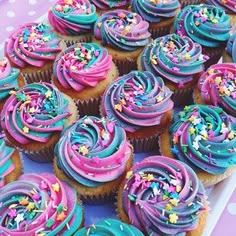 colorful cupcakes with sprinkles and blue frosting on a plate