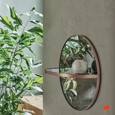 a round mirror mounted to the side of a wall next to a potted plant