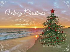 a merry christmas tree on the beach at sunset