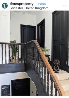 there is a dog sitting on the stairs next to the black doors in this house