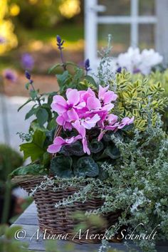 some pink flowers are in a basket on a table