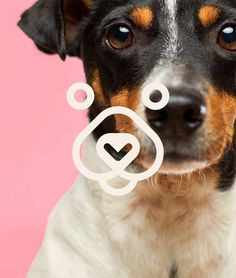 a close up of a dog's face with the word love spelled in front of it