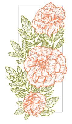 three flowers with green leaves on the bottom and one pink flower in the middle, against a white background